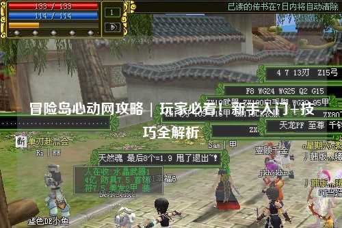 冒险岛心动网攻略 | 玩家必看!新手入门+技巧全解析