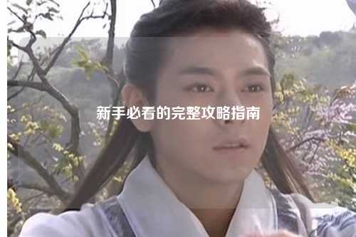 新手必看的完整攻略指南