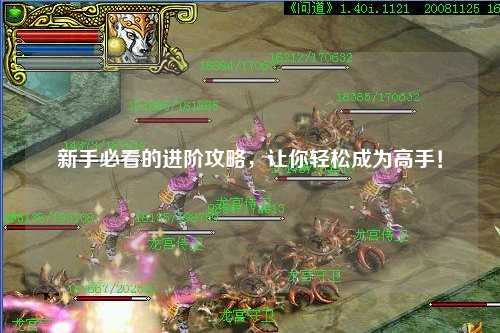 新手必看的进阶攻略,让你轻松成为高手!