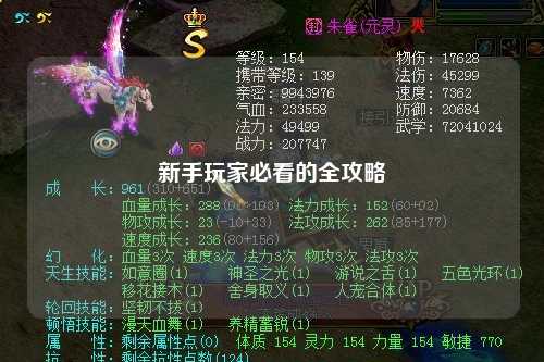 新手玩家必看的全攻略