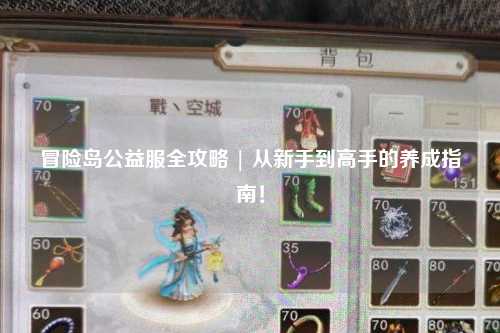 冒险岛公益服全攻略 | 从新手到高手的养成指南!