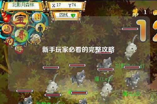 新手玩家必看的完整攻略