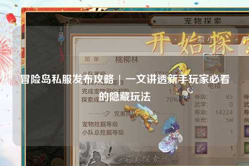 冒险岛私服发布攻略 | 一文讲透新手玩家必看的隐藏玩法