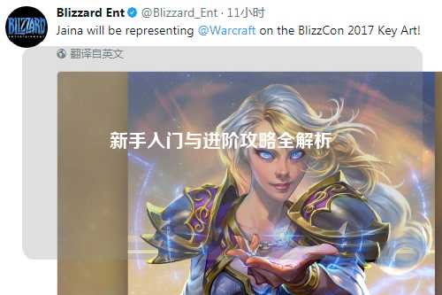 新手入门与进阶攻略全解析