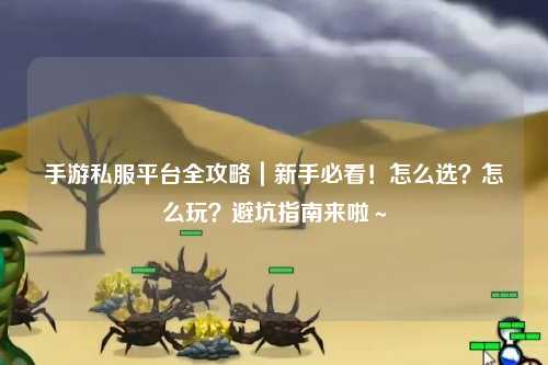 手游私服平台全攻略|新手必看!怎么选?怎么玩?避坑指南来啦~