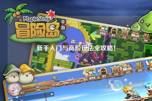 新手入门与高阶玩法全攻略！