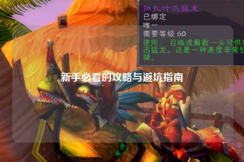 新手必看的攻略与避坑指南