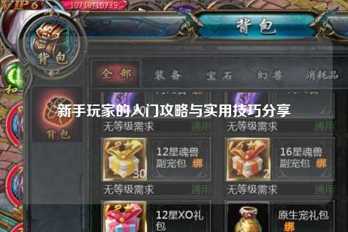 新手玩家的入门攻略与实用技巧分享✨