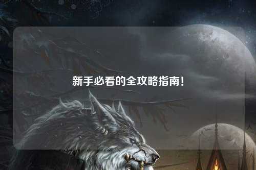 新手必看的全攻略指南!