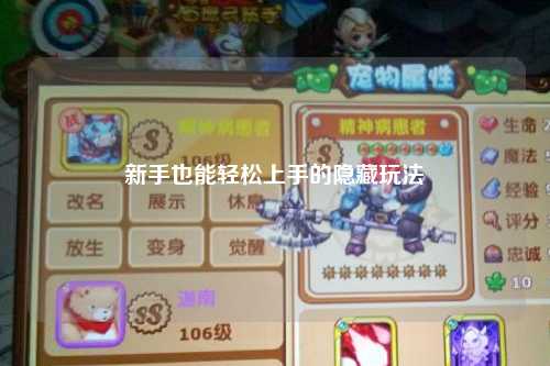 新手也能轻松上手的隐藏玩法