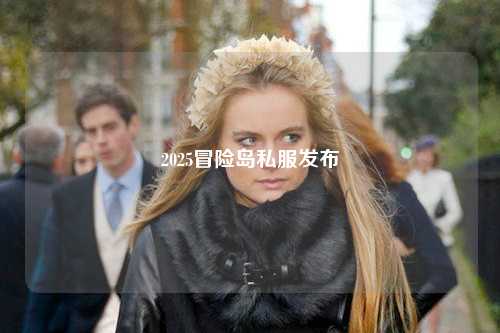 2025冒险岛私服发布