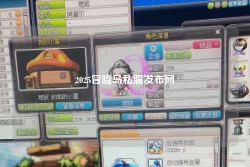 2025冒险岛私服发布网