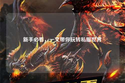 新手必看，一文带你玩转私服世界