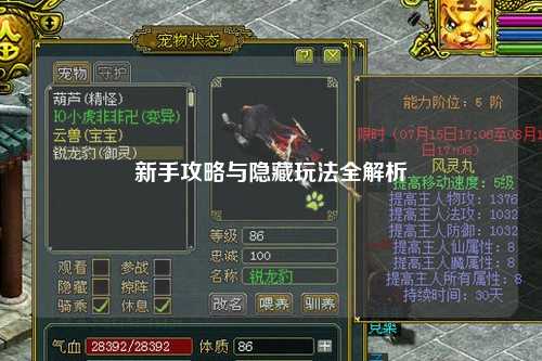 新手攻略与隐藏玩法全解析