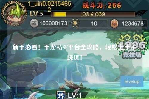 新手必看！手游私SF平台全攻略，轻松上手不踩坑！