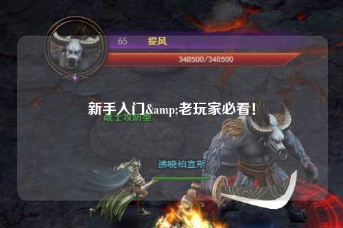 新手入门&老玩家必看!