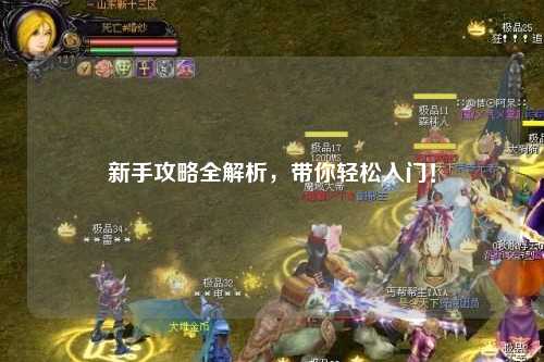 新手攻略全解析，带你轻松入门！