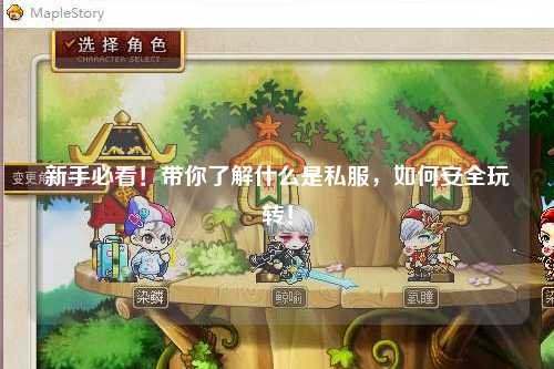 新手必看！带你了解什么是私服，如何安全玩转！