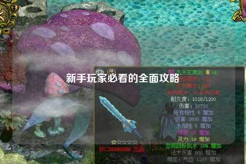 新手玩家必看的全面攻略