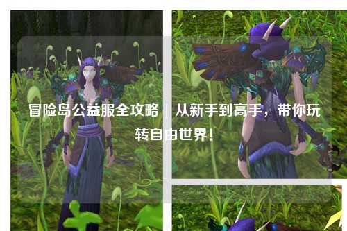 冒险岛公益服全攻略 | 从新手到高手,带你玩转自由世界!