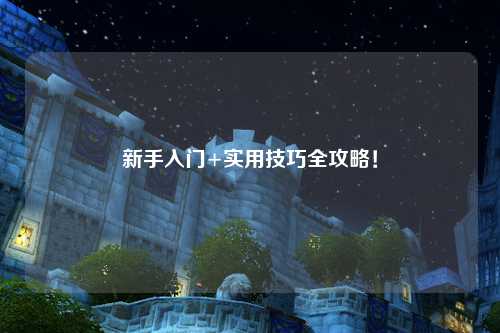 新手入门+实用技巧全攻略！