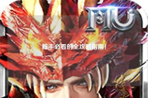 新手必看的全攻略指南!