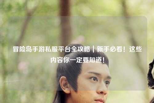 冒险岛手游私服平台全攻略｜新手必看！这些内容你一定要知道！