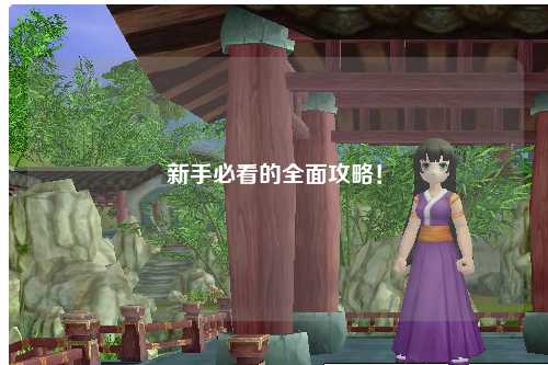 新手必看的全面攻略！