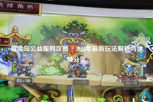 冒险岛公益服网攻略 | 2024年最新玩法解析与体验分享