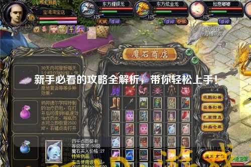 新手必看的攻略全解析，带你轻松上手！