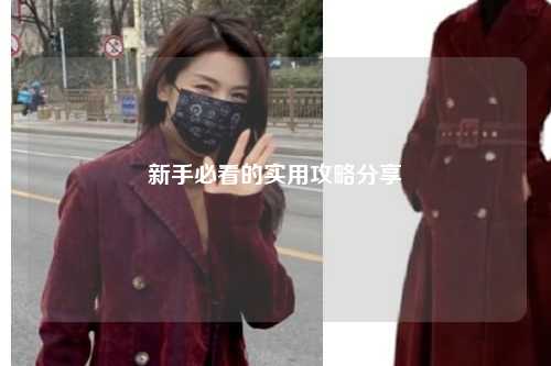 新手必看的实用攻略分享