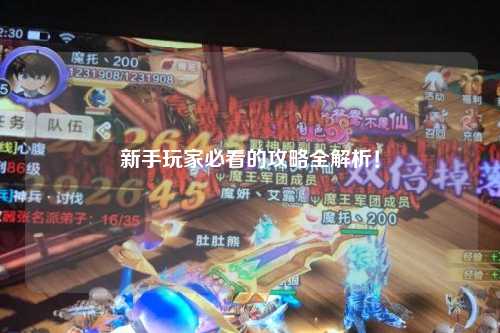 新手玩家必看的攻略全解析！